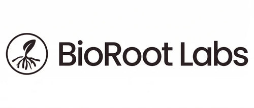 Cyperus oil Colombia